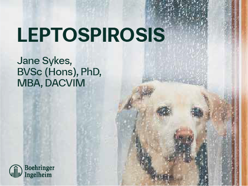 Leptospirosis