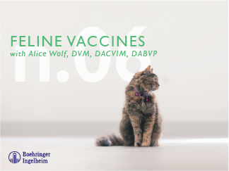 Feline Vaccines