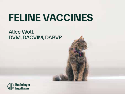 Feline Vaccines