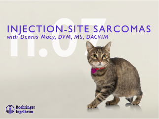 Injection Site Sarcomas