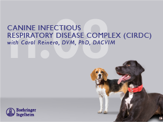 Canine Infectious Respiratory Disease Complex