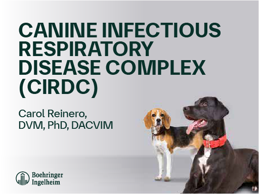 Canine Infectious Respiratory Disease Complex (CIRDC)